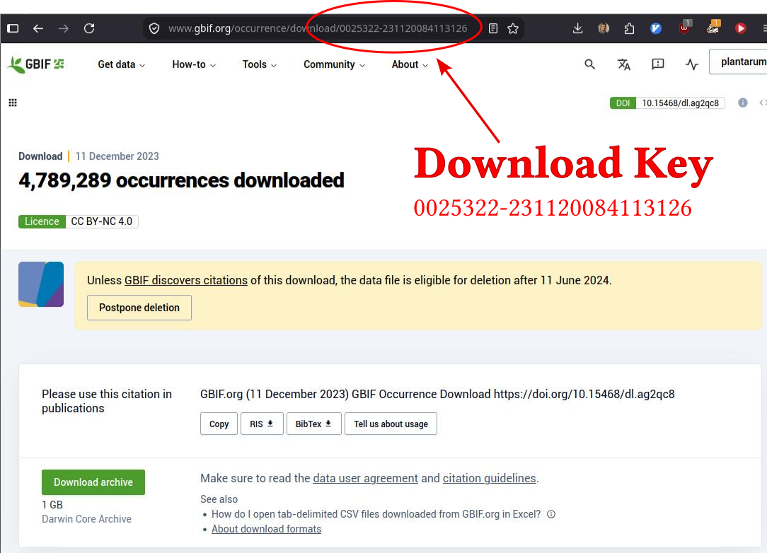 The GBIF download summary page, showing the downloadKey value in the URL