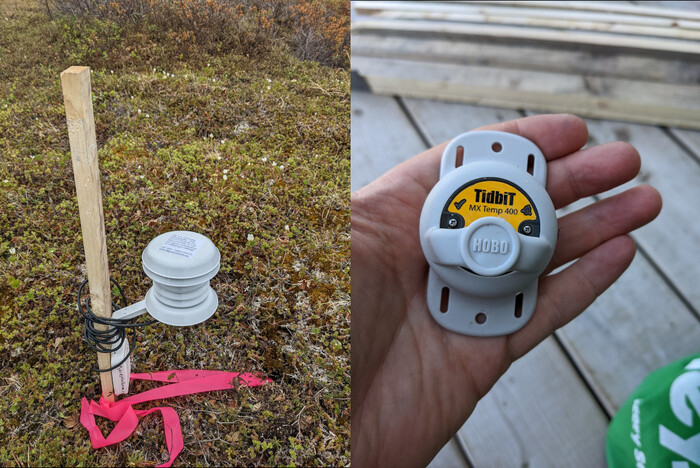 Temperature loggers. *Left*: An air temperature logger. We've started replacing this older model with a new version that doesn't have exposed wires. The foxes love to chew on those wires! *Right*: a soil logger. These instruments are buried 6 inches under ground, marked with flagging tape. The flagging tape is very interesting to foxes, though, so we've stopped using it. Temperature loggers. Left: An air temperature logger. We’ve started replacing this older model with a new version that doesn’t have exposed wires. The foxes love to chew on those wires! Right: a soil logger. These instruments are buried 6 inches under ground, marked with flagging tape. The flagging tape is very interesting to foxes, though, so we’ve stopped using it.