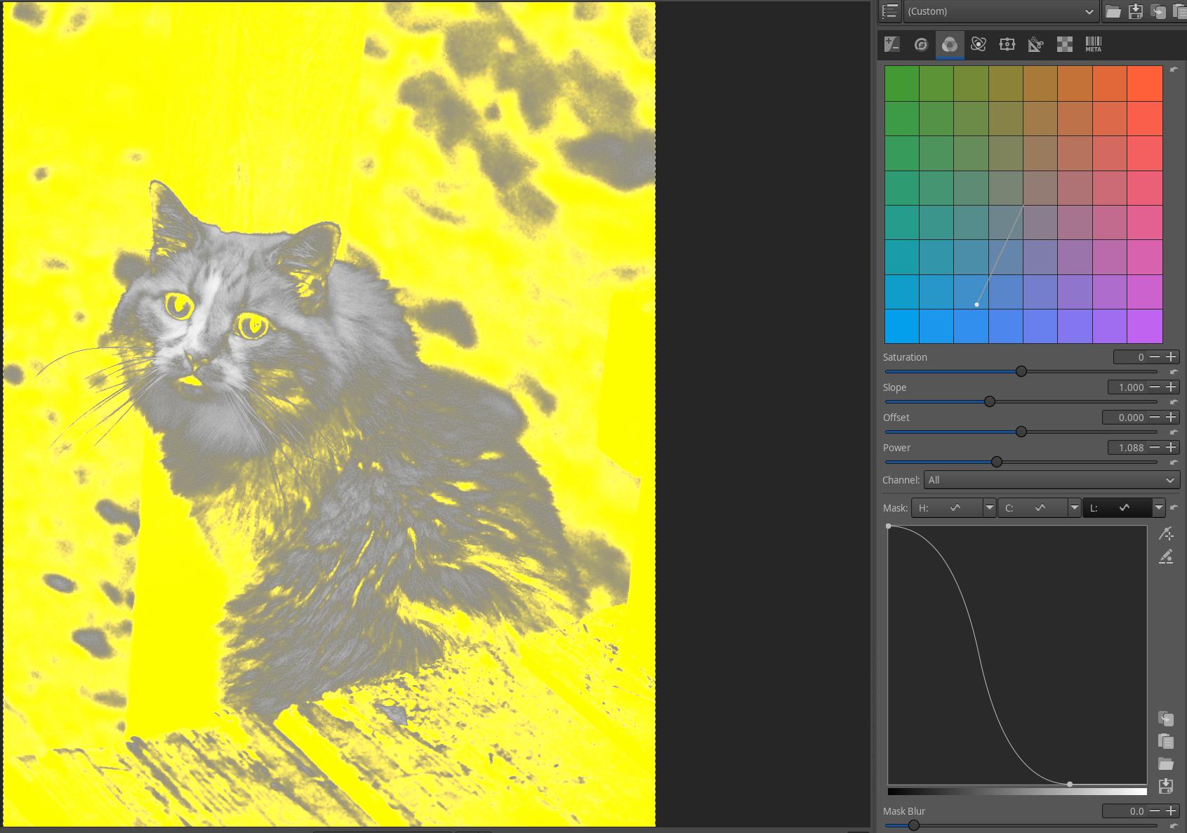 The image with yellow mask indicator covering the darker portions of the
image. The mask settings for the color toning tool are visible on the
right