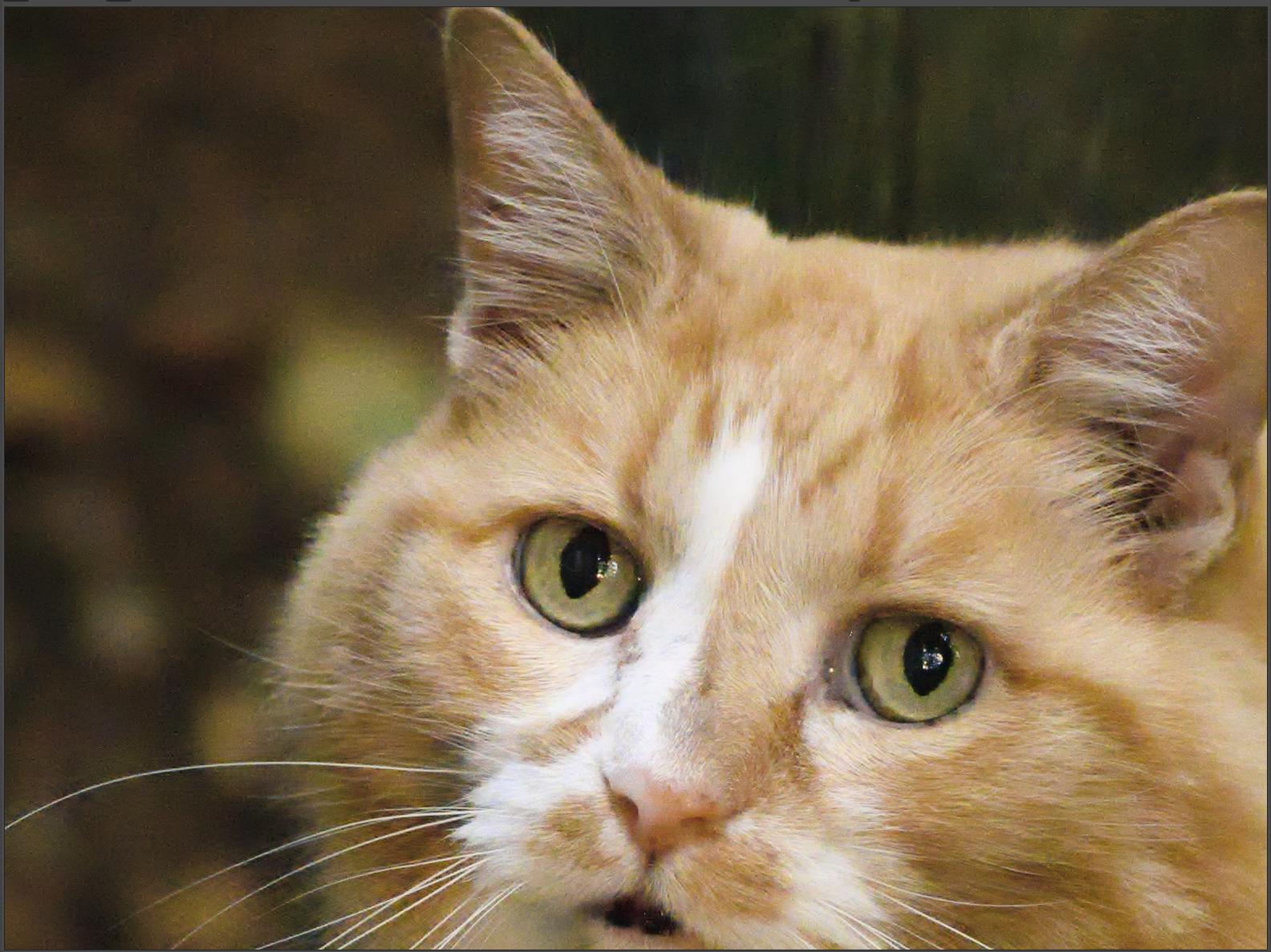 The same close-up, much less noise